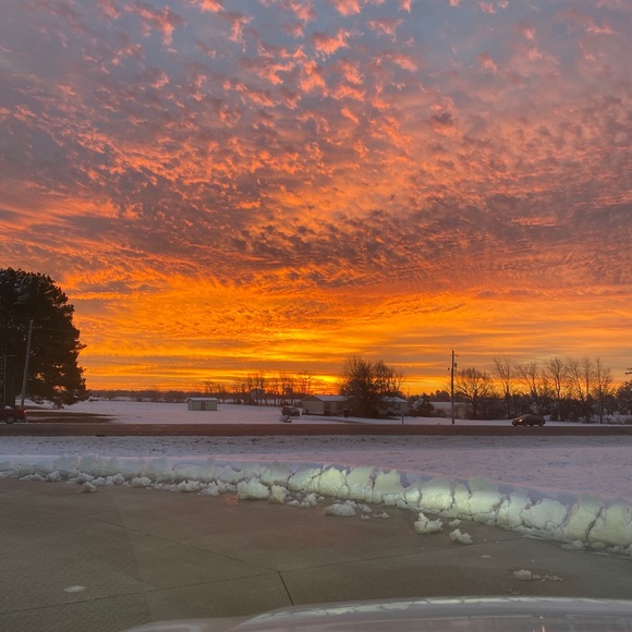 Meet your Posher, Casey - Picture 1 of 1